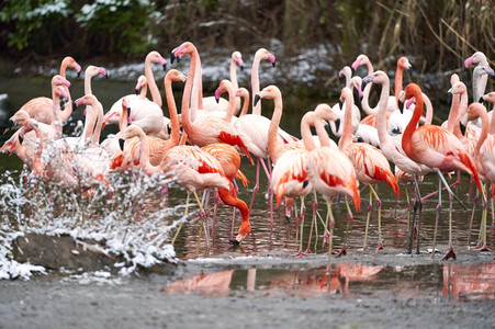Tierische Inventur im Erlebnis-Zoo Hannover