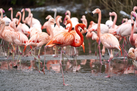 Tierische Inventur im Erlebnis-Zoo Hannover