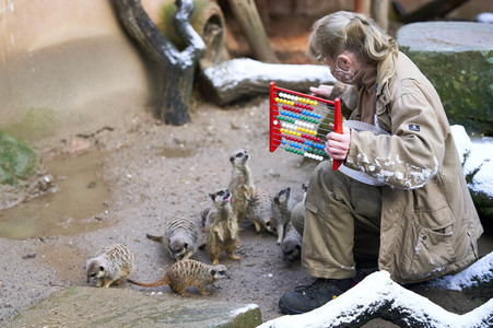 Tierische Inventur im Erlebnis-Zoo Hannover