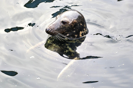 Tierische Inventur im Erlebnis-Zoo Hannover