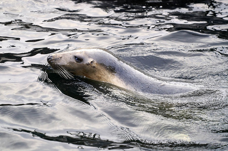 Tierische Inventur im Erlebnis-Zoo Hannover