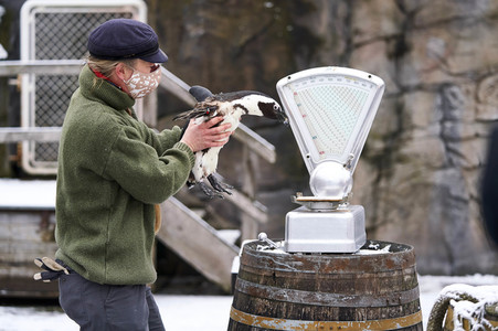 Tierische Inventur im Erlebnis-Zoo Hannover