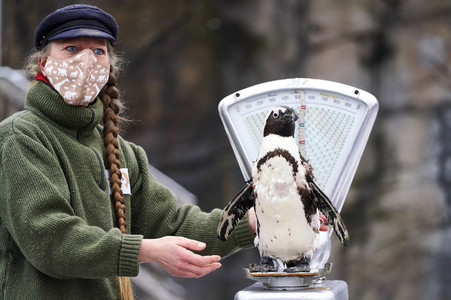 Tierische Inventur im Erlebnis-Zoo Hannover