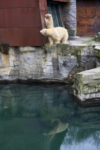 Tierische Inventur im Erlebnis-Zoo Hannover