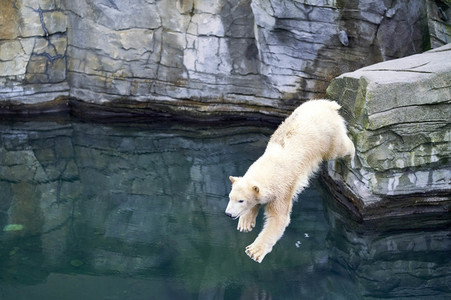 Tierische Inventur im Erlebnis-Zoo Hannover