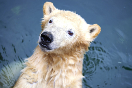 Tierische Inventur im Erlebnis-Zoo Hannover