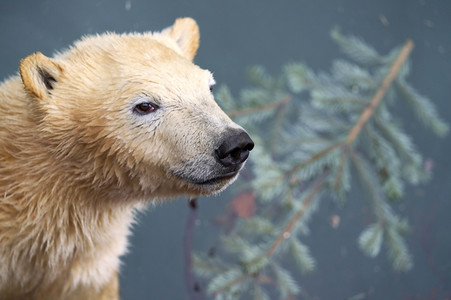 Tierische Inventur im Erlebnis-Zoo Hannover