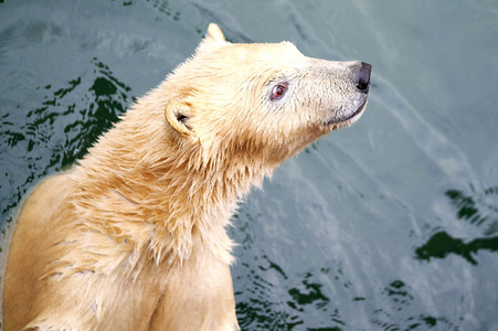 Tierische Inventur im Erlebnis-Zoo Hannover