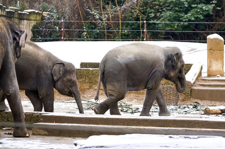 Tierische Inventur im Erlebnis-Zoo Hannover