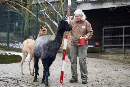 Tierische Inventur im Erlebnis-Zoo Hannover