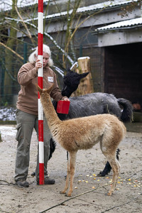 Tierische Inventur im Erlebnis-Zoo Hannover
