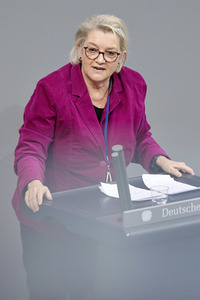 203. Sitzung des Deutschen Bundestages in Berlin