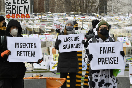 Demonstration 'Wir haben es satt' in Berlin