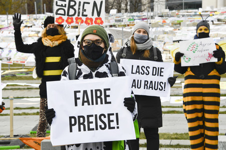 Demonstration 'Wir haben es satt' in Berlin