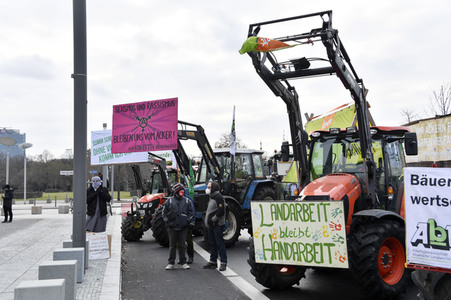 Demonstration 'Wir haben es satt' in Berlin