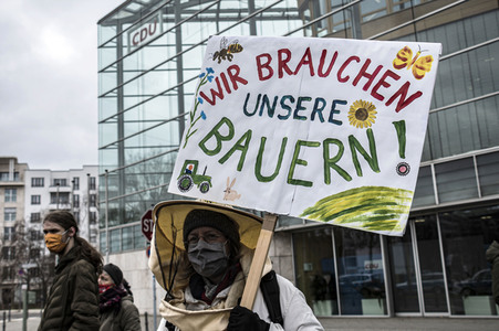 Demonstration 'Wir haben es satt' in Berlin