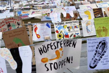 Demonstration 'Wir haben es satt' in Berlin