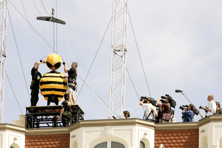 Photocall 'Bee Movie - Das Honigkomplott', Cannes Film Festival 2007
