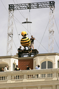 Photocall 'Bee Movie - Das Honigkomplott', Cannes Film Festival 2007