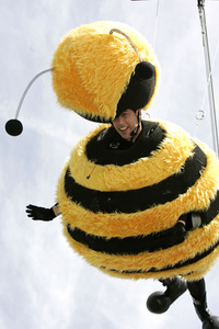 Photocall 'Bee Movie - Das Honigkomplott', Cannes Film Festival 2007