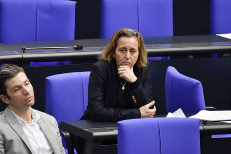 207. Sitzung des Deutschen Bundestages in Berlin