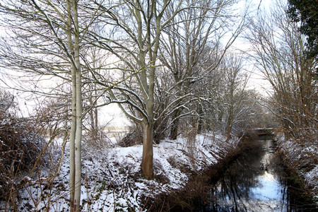 Symbolfoto Winterstimmung