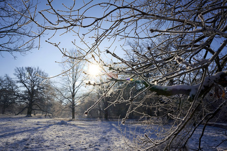 Winterliche Herrenhäuser Gärten in Hannover