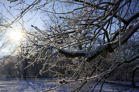 Winterliche Herrenhäuser Gärten in Hannover