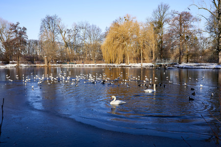 Winterliche Herrenhäuser Gärten in Hannover