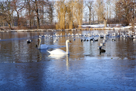 Winterliche Herrenhäuser Gärten in Hannover