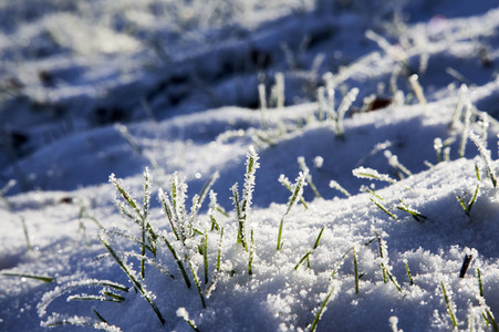 Winterliche Herrenhäuser Gärten in Hannover