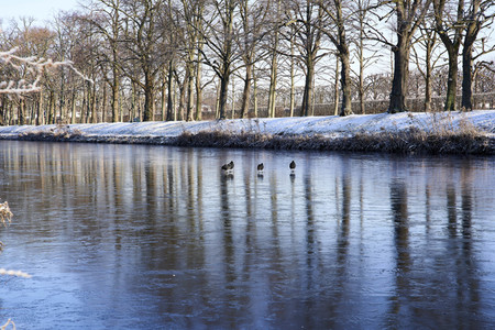 Winterliche Herrenhäuser Gärten in Hannover