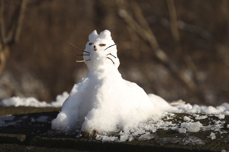Winterspaziergang in Berlin
