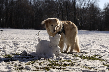 Winterspaziergang in Berlin