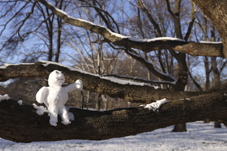 Winterspaziergang in Berlin