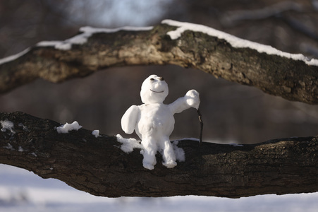 Winterspaziergang in Berlin