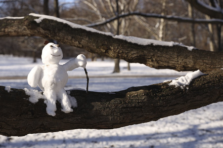 Winterspaziergang in Berlin