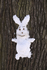 Winterspaziergang in Berlin