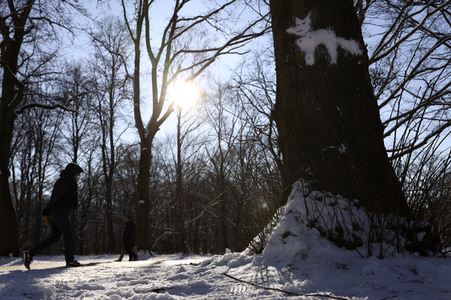 Winterspaziergang in Berlin