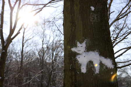 Winterspaziergang in Berlin