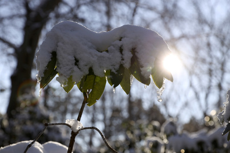 Winterspaziergang in Berlin