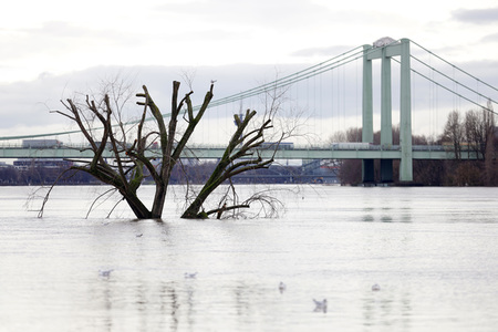 Hochwasser in Köln