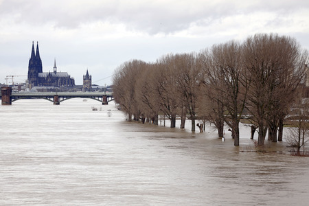 Hochwasser in Köln