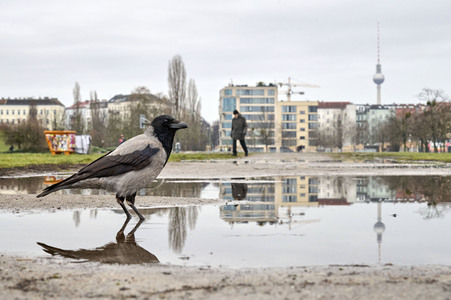 Regenwetter in Berlin