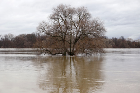 Hochwasser in Köln