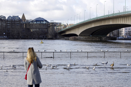 Hochwasser in Köln