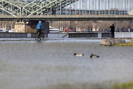 Hochwasser in Köln
