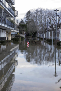 Hochwasser in Königswinter