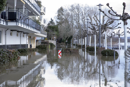 Hochwasser in Königswinter