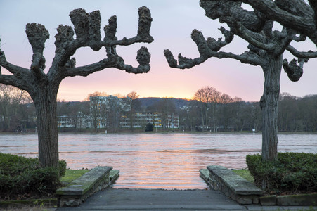 Hochwasser in Königswinter